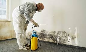 Best Industrial Mold Remediation  in Plainfield, IL